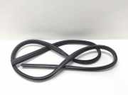 Dichtungsgummi der hinteren Tür (an der Karosserie) FORD C-MAX II (DXA/CB7, DXA/CEU) 1.0 EcoBoost