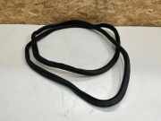 Türgummi rechts vorne BMW X5 (G05, F95) 7428678