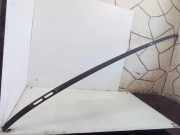 Dachleiste links MERCEDES-BENZ M (W163) ML 270 CDI (163.113)