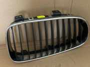 Vorderer oberer Gitter BMW 3 Compact (E46) 318 ti