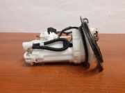 Kraftstoffpumpe Lexus RX 3 (L1) 1019624240