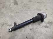 Stoßdämpfer links hinten BMW X5 (E70) 33526781921