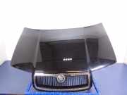 Motorhaube Skoda Fabia Praktik (6Y)