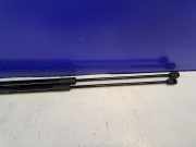 Gasfeder für Motorhaube Porsche Cayenne 2 (92A) 7P5823359A