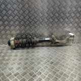 Stoßdämpfer vorne rechts AUDI Q5 (FY) 2.0 TDI quattro 80A413333 4M0413038