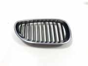 Vorderer oberer Gitter