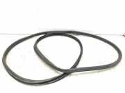 Türgummi links vorne Subaru Outback IV (BR)