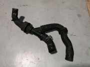 Schlauch Kühlung VW GOLF VIII (CD1) 1.0 TSI 3001211
