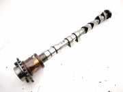 Auspuffkrümmer Maserati Quattroporte V () 242253