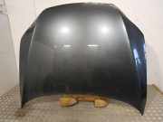 Motorhaube AUDI Q7 (4L) 3.0 TDI quattro