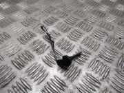 Temperatursensor OPEL ZAFIRA B (A05) 1.9 CDTI