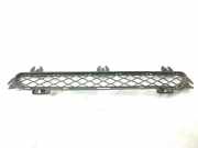 Gitter vorne unten BMW X3 (F25) xDrive 35 i 7210466