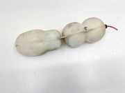 Unterdruckdose für Vergaser Mercedes-Benz SL (R129) 2208050119