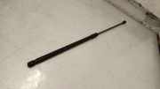 Heckklappe Gasdruckfeder links AUDI A3 Sportback (8YA) 35 TFSI 8y4827552