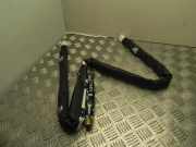 Dach SRS rechts RENAULT SCÉNIC III (JZ0/1_) 1.5 dCi 985P06123R