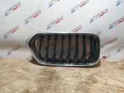 Vorderer oberer Gitter BMW X2 (F39) X2 sDrive18d 7424777