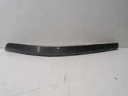 Stoßstangenzierleiste vorne links RENAULT LAGUNA II Grandtour (KG0/1_) 1.9 dCi (KG0G) G000009684