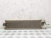 Kraftstoffkühler (Kühler) VW PASSAT B6 (3C2) 2.0 TDI 3C0201898B