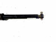 Stoßdämpfer hinten rechts