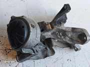 Motorhalterung hinten AUDI Q5 (FY) SQ5 TFSI quattro 784234142952 8K0199387N