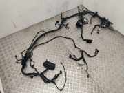 Motor Kabelbaum RENAULT KOLEOS II 2.0 dCi 175 4WD 240125307R