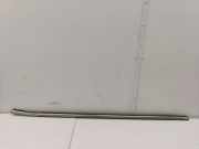 Zier-/Schutzleiste für Türscheibe MG MG ZS ()