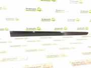 Türverkleidung rechts vorne Mercedes-Benz M-Klasse (W164)