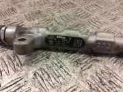 Einspritzleiste Hyundai iX35 (LM) 314002A420