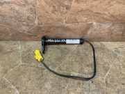 Fußgänger-Airbag (SRS)