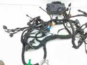 Motor Kabelbaum SKODA ENYAQ iV Coupe (5AC) RS 2314231513