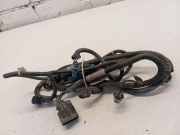 Kabelbaum Vorderen Parksensoren OPEL VECTRA C 2.2 DTI 16V 24419045