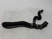 Kühlerschlauch Renault Scenic IV (J9) 215032064R