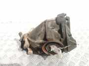 Differenzialgetriebe hinten