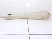 Fensterwaschtank RENAULT MEGANE I (BA0/1_) 1.9 dT (B/SA0K, B/SA0Y) 7700835518