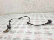 Sensor für ABS rechts hinten VW Passat B6 (3C2) 3C0927903A