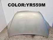 Motorhaube HONDA CR-V III (RE_) 2.2 i-CTDi 4WD (RE6)
