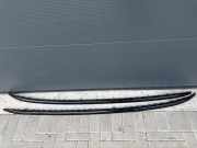 Dachreling links BMW X3 (G01, F97) 8070691