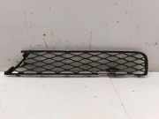 Gitter vorne unten MERCEDES-BENZ R (W251, V251) R 320 CDI 4-matic (251.022, 251.122) A2518850153