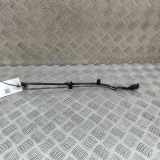 Kabelbaum AUDI A3 Limousine (8YS) RS3 quattro 8V0971154