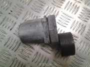 Riemenspanner BMW X5 (E70) xDrive 35 d 780033304