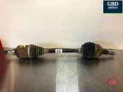 Kardanwelle Ford Focus III (DYB) JX673B437CAH