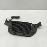 Gitter Grill vorne rechts LAND ROVER RANGE ROVER EVOQUE (L538) 2.0 D 4x4 GJ32-15A298-A