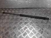 Heckklappe Gasdruckfeder rechts