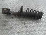 Stoßdämpfer hinten links