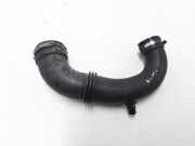 Schlauch für Luftversorgung Renault Scenic I (JA) 8200396908