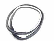 Türgummi links vorne Renault Espace V (JR)