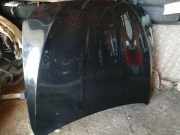 Motorhaube BMW 5 (F10) 520 d