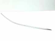 Fensterleiste Tür vorne links BENTLEY CONTINENTAL FLYING SPUR (3W_) 6.0