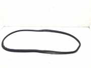 Türgummi rechts vorne Volvo XC60 II (246) 30762364