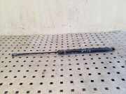 Heckklappe Gasdruckfeder links VW GOLF IV Variant (1J5) 1.9 TDI 8E9827552E